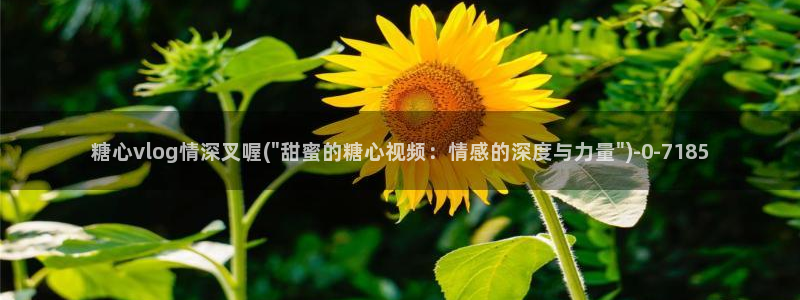 糖心vlgo官网人口