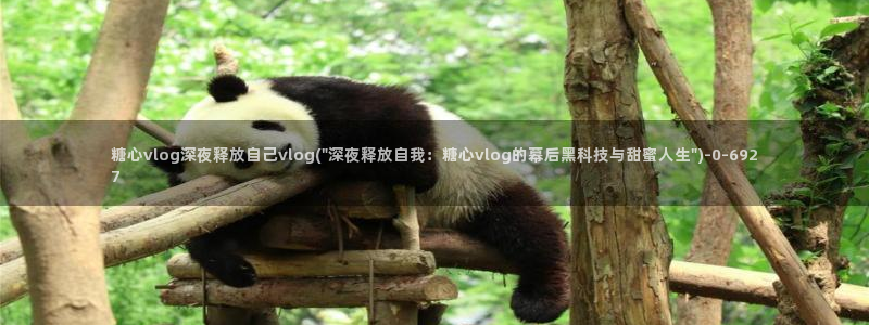 糖心官网地址：糖心vlog深夜释放自己vlog(\