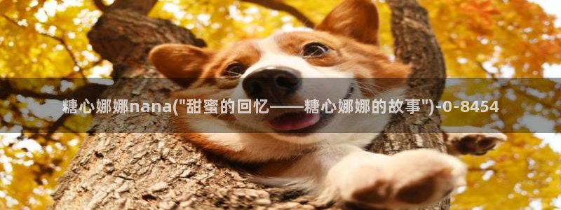 糖心vole：糖心娜娜nana(\