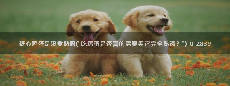糖心veol